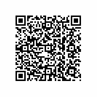 QR Code für Schätzchen aus dem Museumsdepot: Ein Bronzeschwert