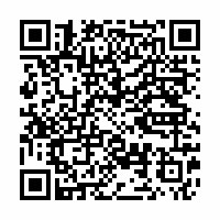 QR Code für Museumsnacht Zwickau