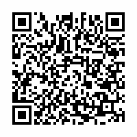 QR Code für KUNSTSAMMLUNGEN ZWICKAU Max-Pechstein-Museum im ZwischenRAUM